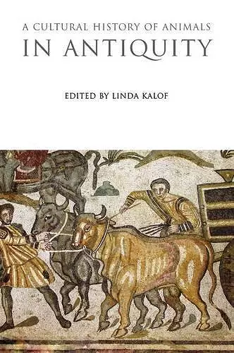 A Cultural History of Animals in Antiquity cover