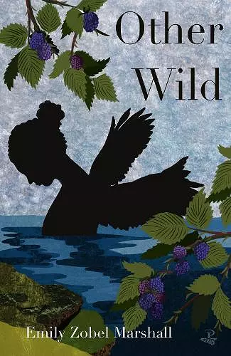 Other Wild cover