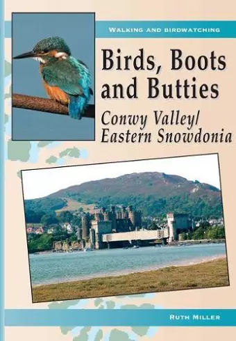 Birds, Boots and Butties: Conwy Valley/Eastern Snowdonia cover