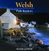 Compact Wales: Welsh Pub Names cover