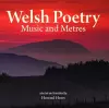 Compact Wales: Welsh Poetry - Music and Meters cover