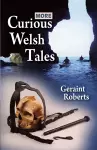 More Curious Welsh Tales cover