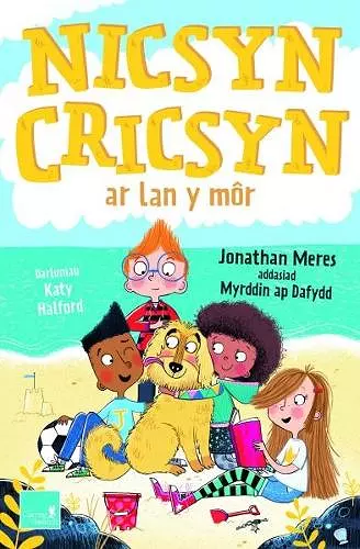 Nicsyn Cricsyn ar lan y môr cover