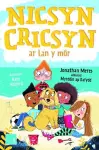 Nicsyn Cricsyn ar lan y môr cover