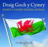 Cyfres Celc Cymru: Draig Goch y Cymry - Hanes y Faner Genedlaethol cover