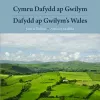 Cymru Dafydd Ap Gwilym - Cerddi a Lleoedd / Dafydd Ap Gwilym's Wales - Poems and Places cover