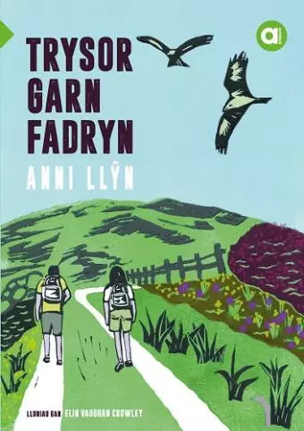 Cyfres Amdani: Trysor Garn Fadryn cover