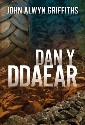 Dan y Ddaear cover