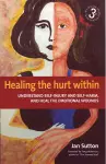 Healing the Hurt Within 3rd Edition cover