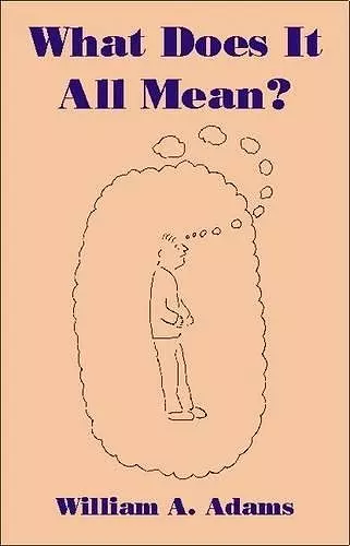 What Does it All Mean? cover