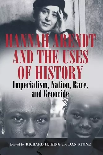 Hannah Arendt and the Uses of History cover
