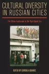 Cultural Diversity in Russian Cities cover