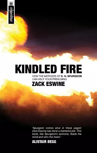 Kindled Fire cover