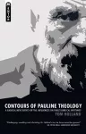 Contours of Pauline Theology cover