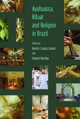 Ayahuasca, Ritual and Religion in Brazil cover