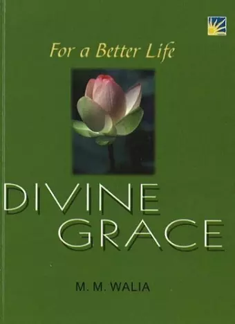 For A Better Life -- Divine Grace cover