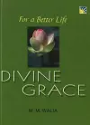 For A Better Life -- Divine Grace cover