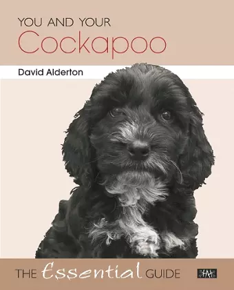 You and Your Cockapoo cover