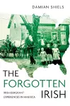 The Forgotten Irish cover