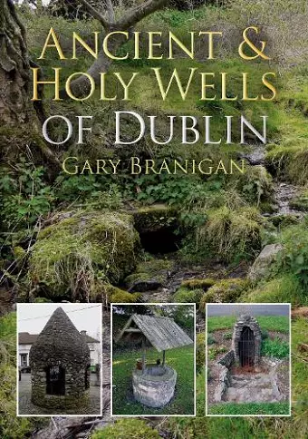 Ancient and Holy Wells of Dublin cover