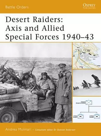 Desert Raiders cover