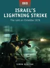 Israel’s Lightning Strike cover