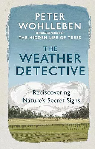 The Weather Detective cover