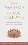 Radical Acceptance cover
