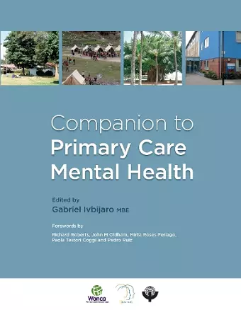 Companion to Primary Care Mental Health cover