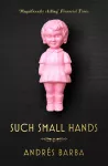 Such Small Hands cover
