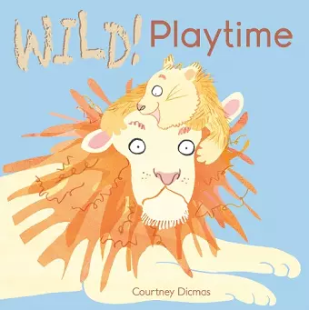 Playtime cover