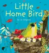 Little Home Bird cover