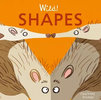 Shapes cover