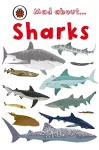 Mad About Sharks cover