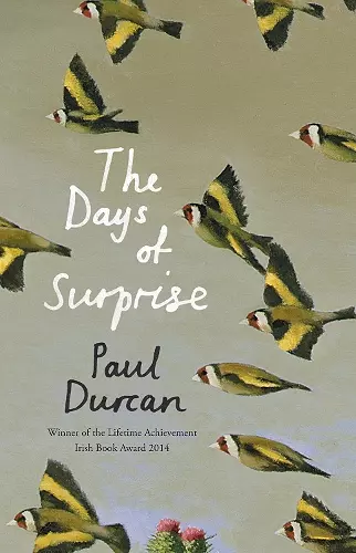 The Days of Surprise cover