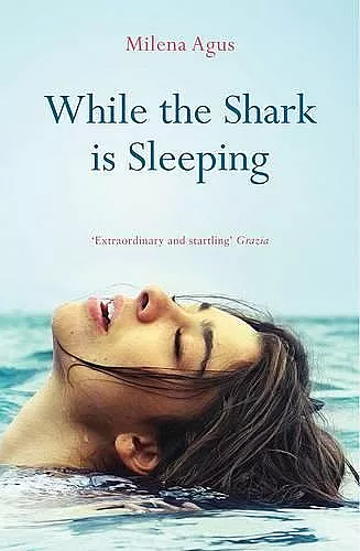 While the Shark is Sleeping cover