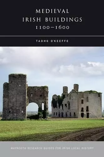 Medieval Irish Buildings, 1100 - 1600 cover