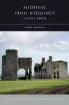 Medieval Irish Buildings, 1100 - 1600 cover