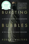 Bursting Bubbles cover