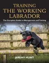 Training the Working Labrador cover