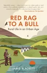 Red Rag To A Bull cover