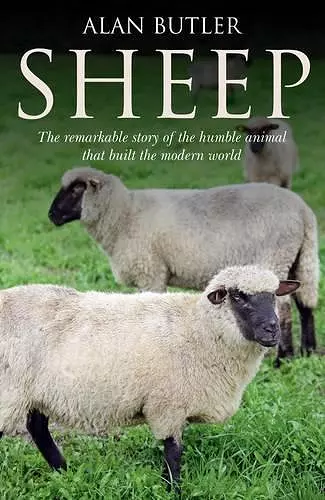 Sheep – The remarkable story of the humble animal that built the modern world. cover