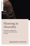 Meaning in Absurdity – What bizarre phenomena can tell us about the nature of reality cover