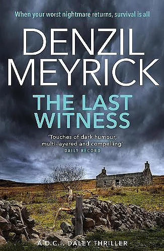 The Last Witness cover