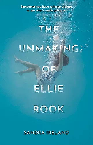 The Unmaking of Ellie Rook cover