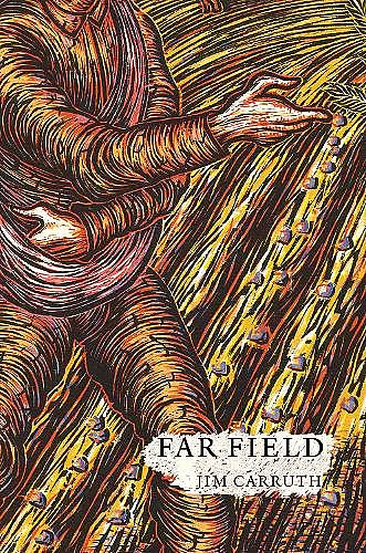 Far Field cover