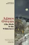 Like Birds in the Wilderness cover