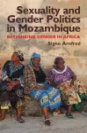 Sexuality and Gender Politics in Mozambique cover