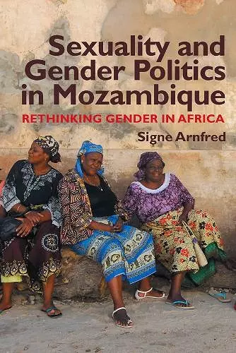 Sexuality and Gender Politics in Mozambique cover