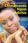 A Companion to Chimamanda Ngozi Adichie cover